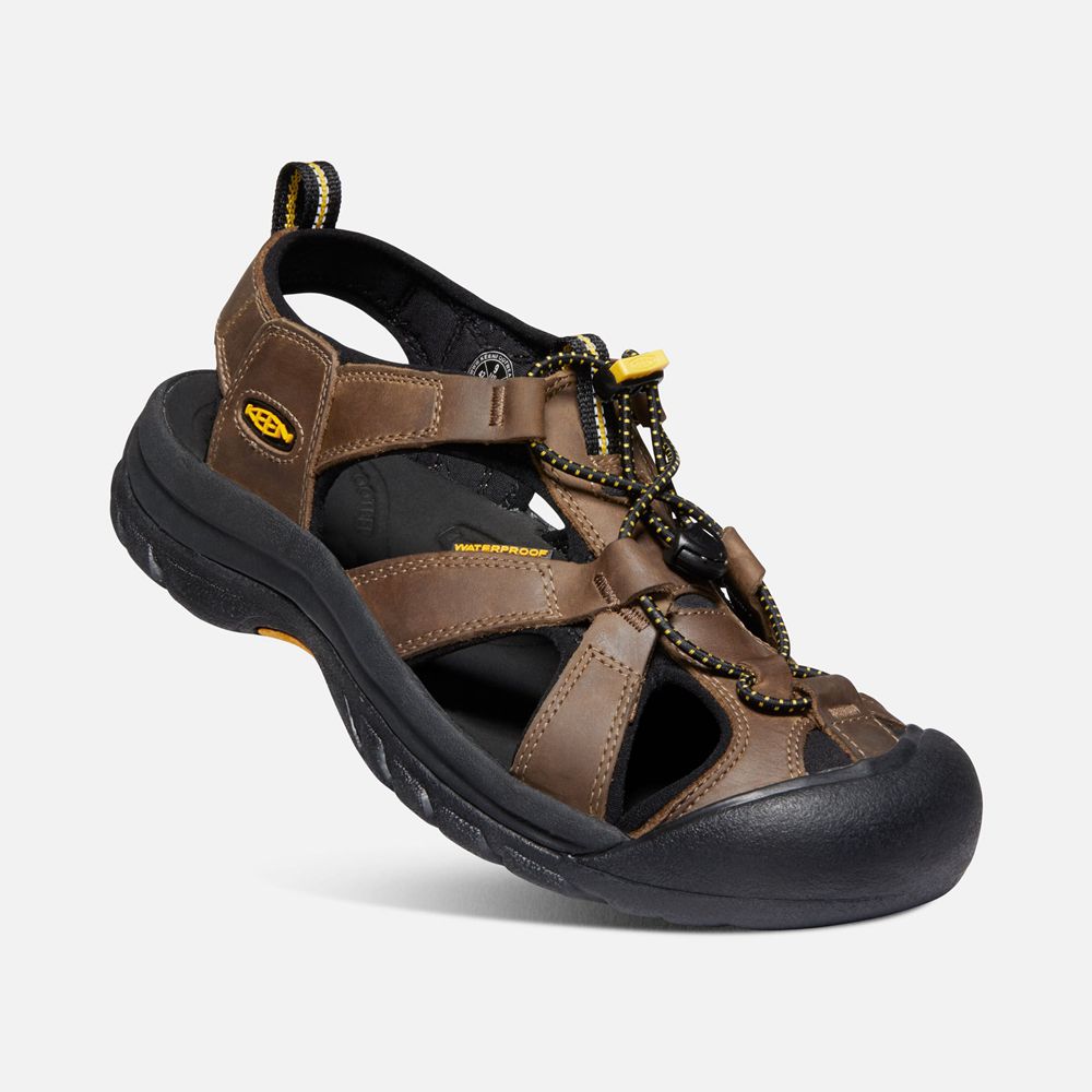 Sandales Keen Homme Marron/Noir | Venice | VQYCM-1506